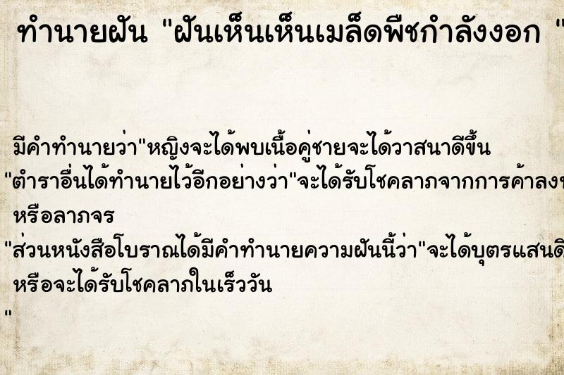 ทำนายฝัน ฝันเห็นเห็นเมล็ดพืชกำลังงอก 